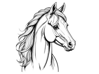 Kleurplaat paard