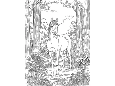 Kleurplaat paard in het bos
