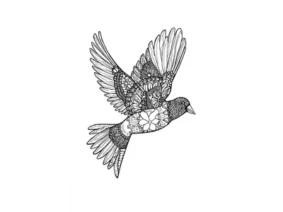 Kleurplaat volwassenen vogel 2