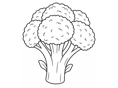 Kleurplaat broccoli