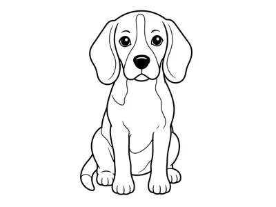 Kleurplaat hond beagle